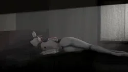 Nobody3