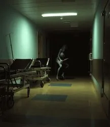 Gif Author