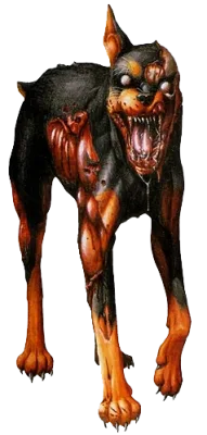 Cerberus