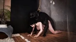 Skyrim Modded