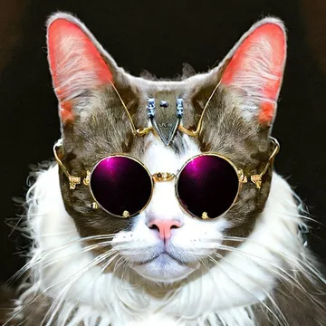 Baron Von Meowsberg